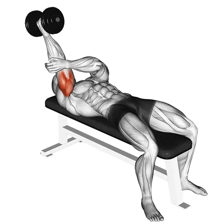 Imagen de la extensión horizontal concentrada superior con mancuerna