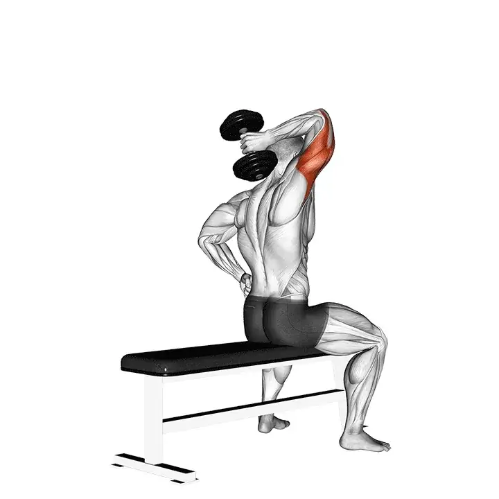 Imagen de una persona realizando la extensión vertical aislada con mancuerna