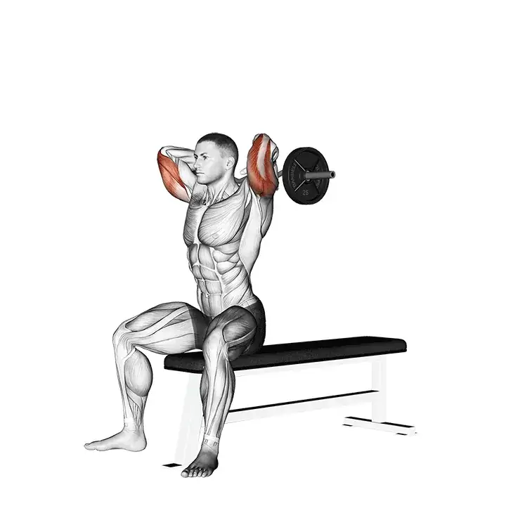Imagen de la extensión vertical con barra Z